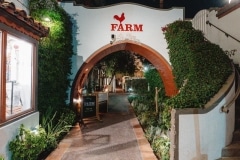 FARM - Palm Springs