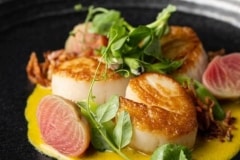 Scallops