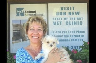 Guide Dogs of the Desert