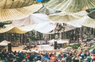 Jazz In The Pines