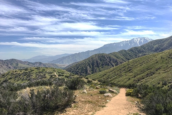 Palm Springs Hiking Trails - Top 10 - PalmSprings.com