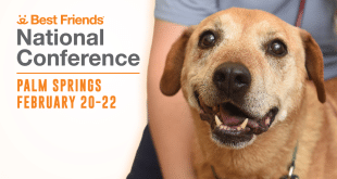 2025 Best Friends National Conference