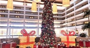 Magical Christmas Day Dinner at JW Marriott Desert Springs